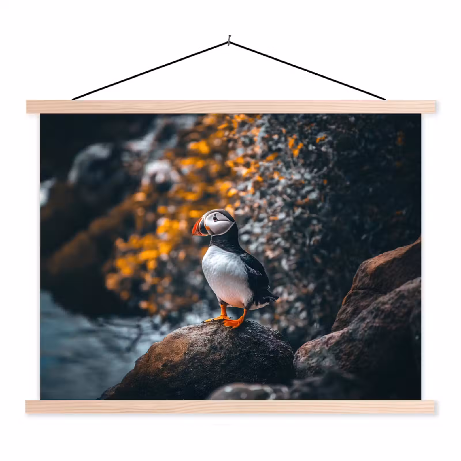 Schoolplaat - Papegaai - Vogel - Rots - Wit — 1