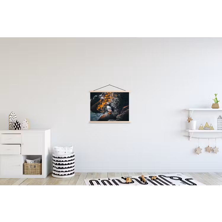 Schoolplaat - Papegaai - Vogel - Rots - Wit — 3