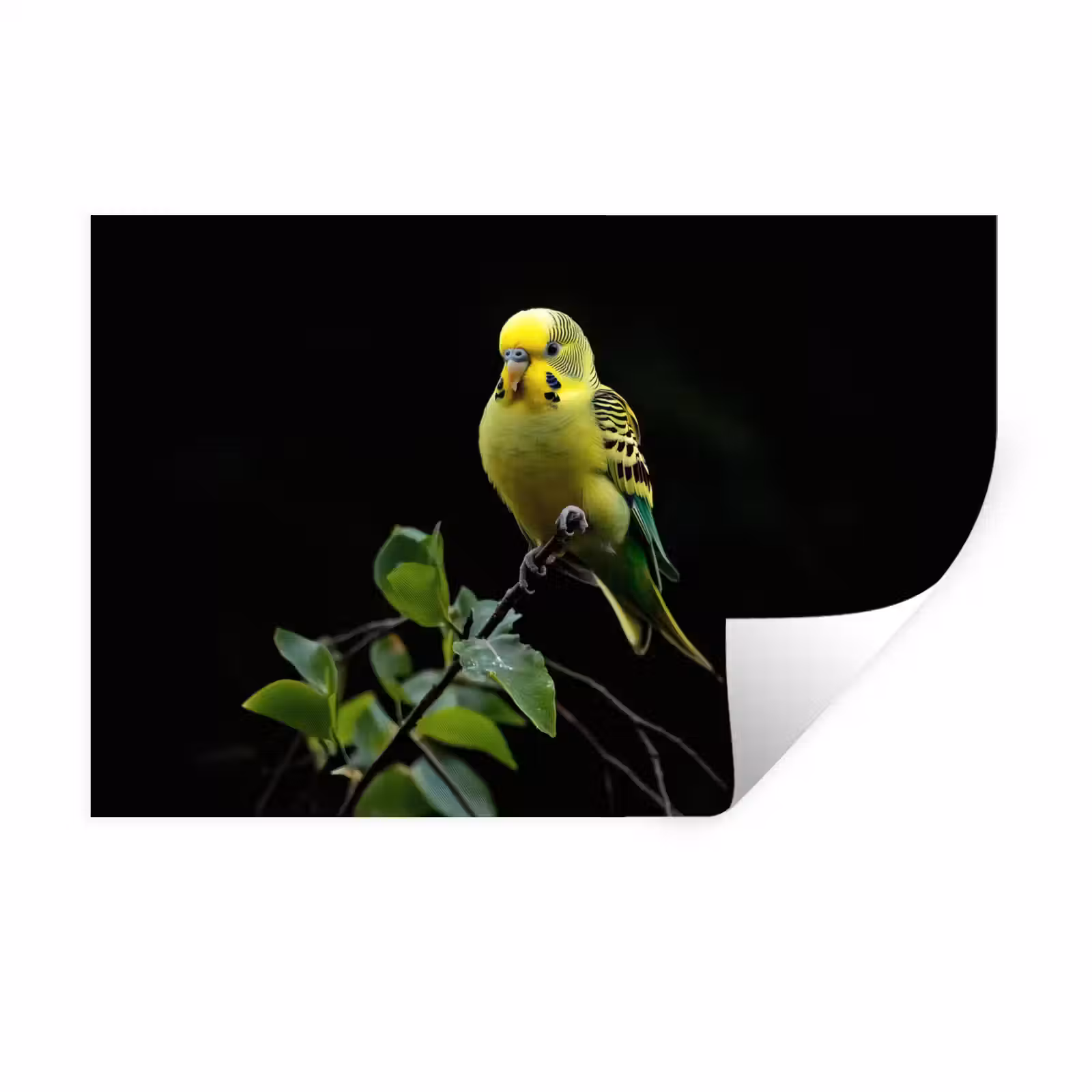 Muursticker - Parkiet - Tak - Bladeren - Geel — 1