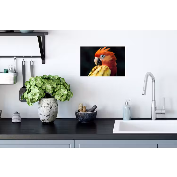 Muursticker - Close-up - Papegaai - Veren - Oranje — 2