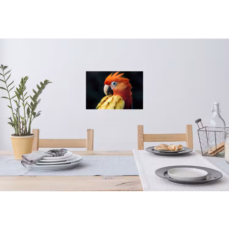 Muursticker - Close-up - Papegaai - Veren - Oranje — 3