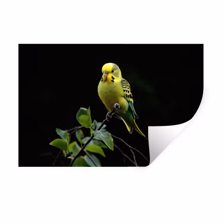 Muursticker - Parkiet - Tak - Bladeren - Geel — 1