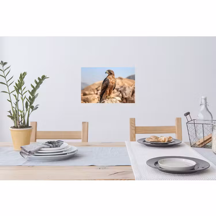 Muursticker - Valk - Vogel - Rots - Macht — 3