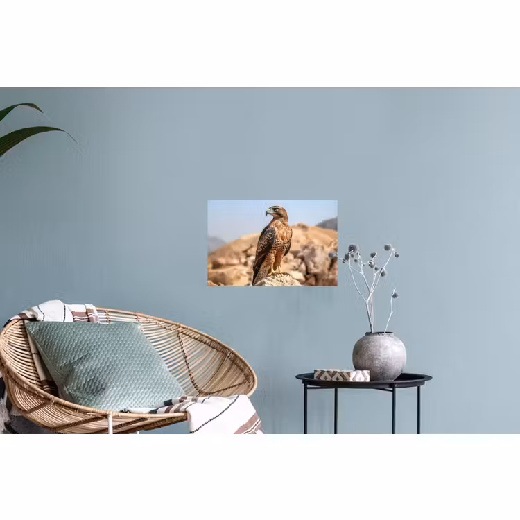 Muursticker - Valk - Vogel - Rots - Macht — 4