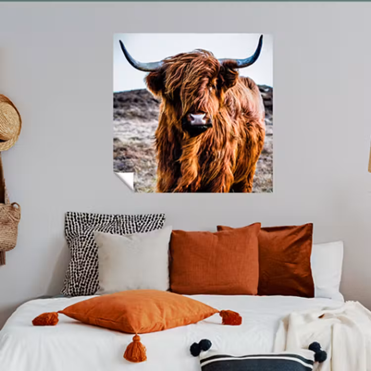 Foto op muursticker - Staand/liggend vierkant — 4