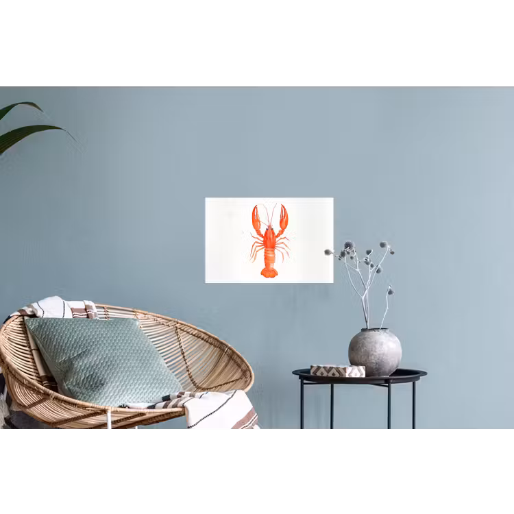 Muursticker - Kreeft - Waterverf - Aquarel - Oranje — 4