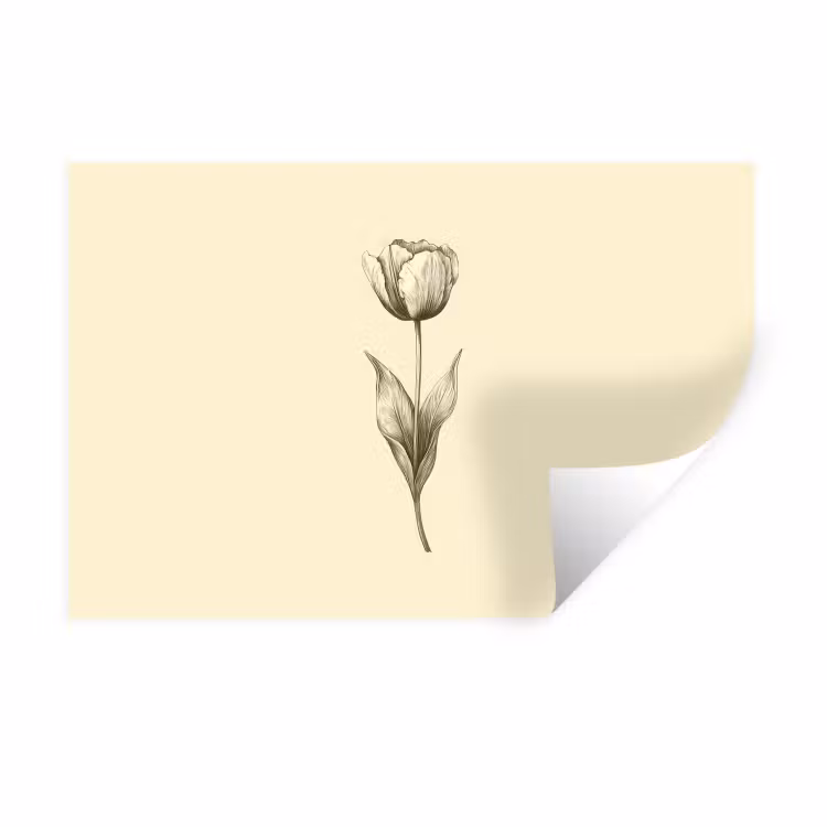 Muursticker - Illustratie - Tulp - Zwart — 1