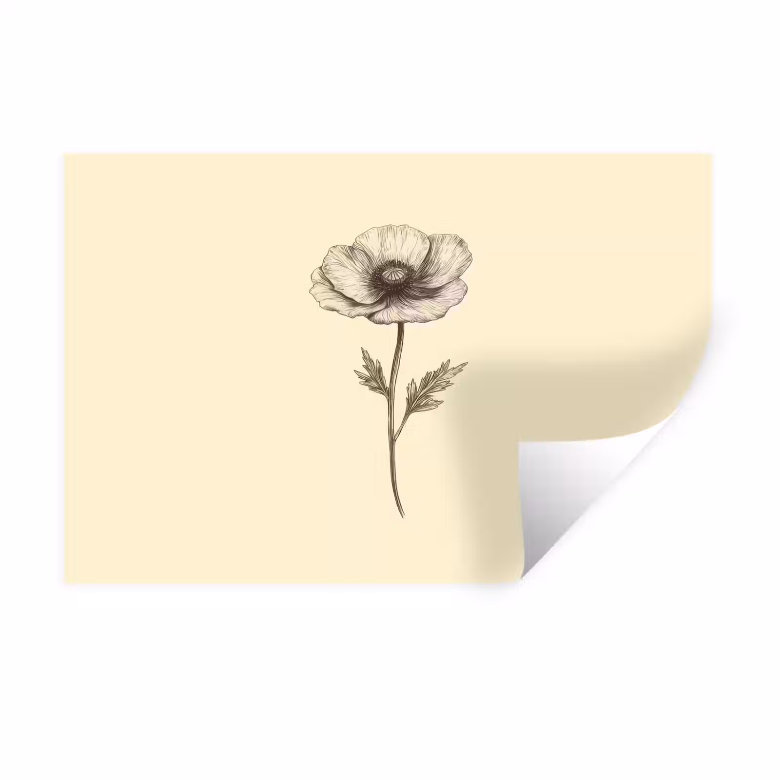Muursticker - Klaproos - Illustratie - Zwart — 1
