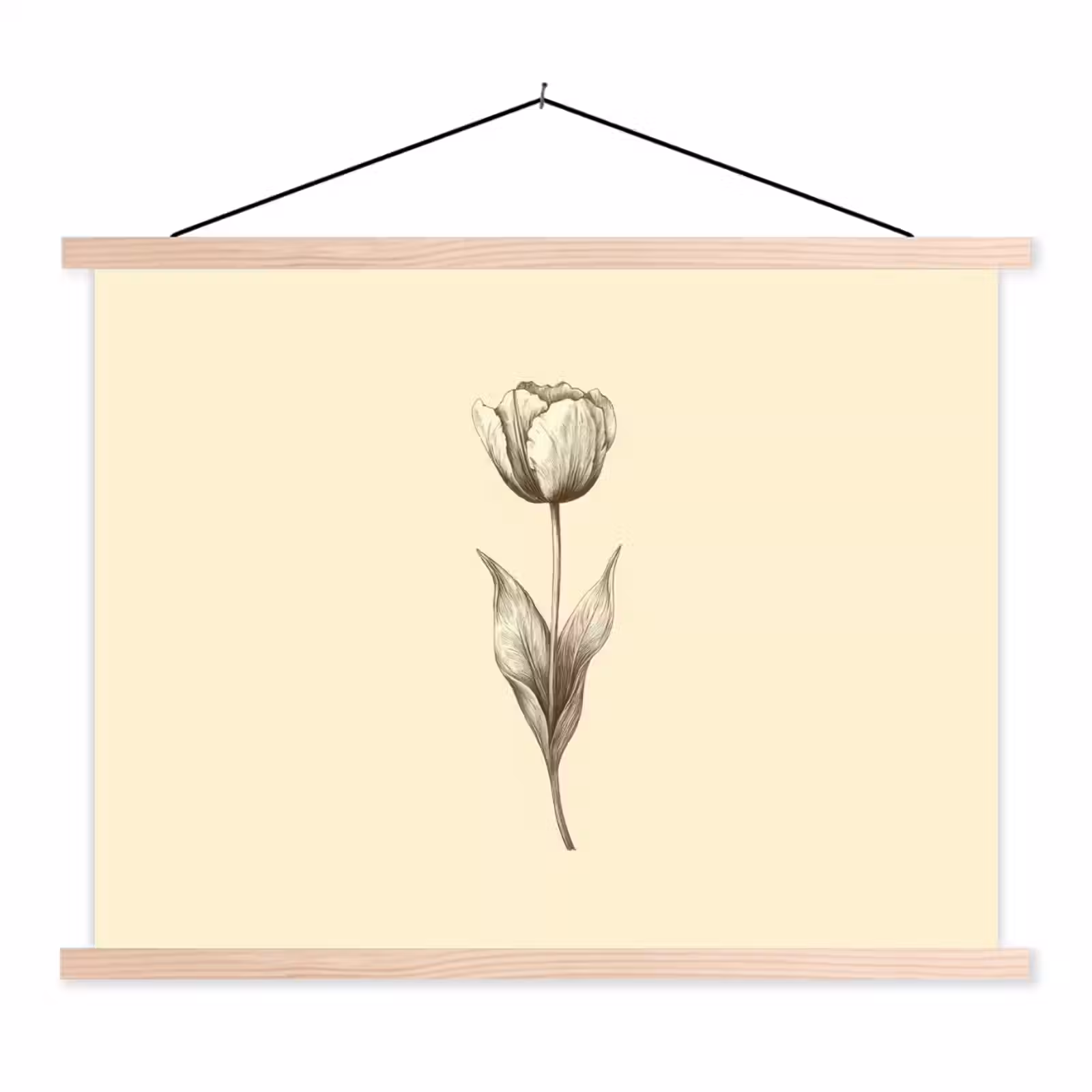 Schoolplaat - Illustratie - Tulp - Zwart — 1