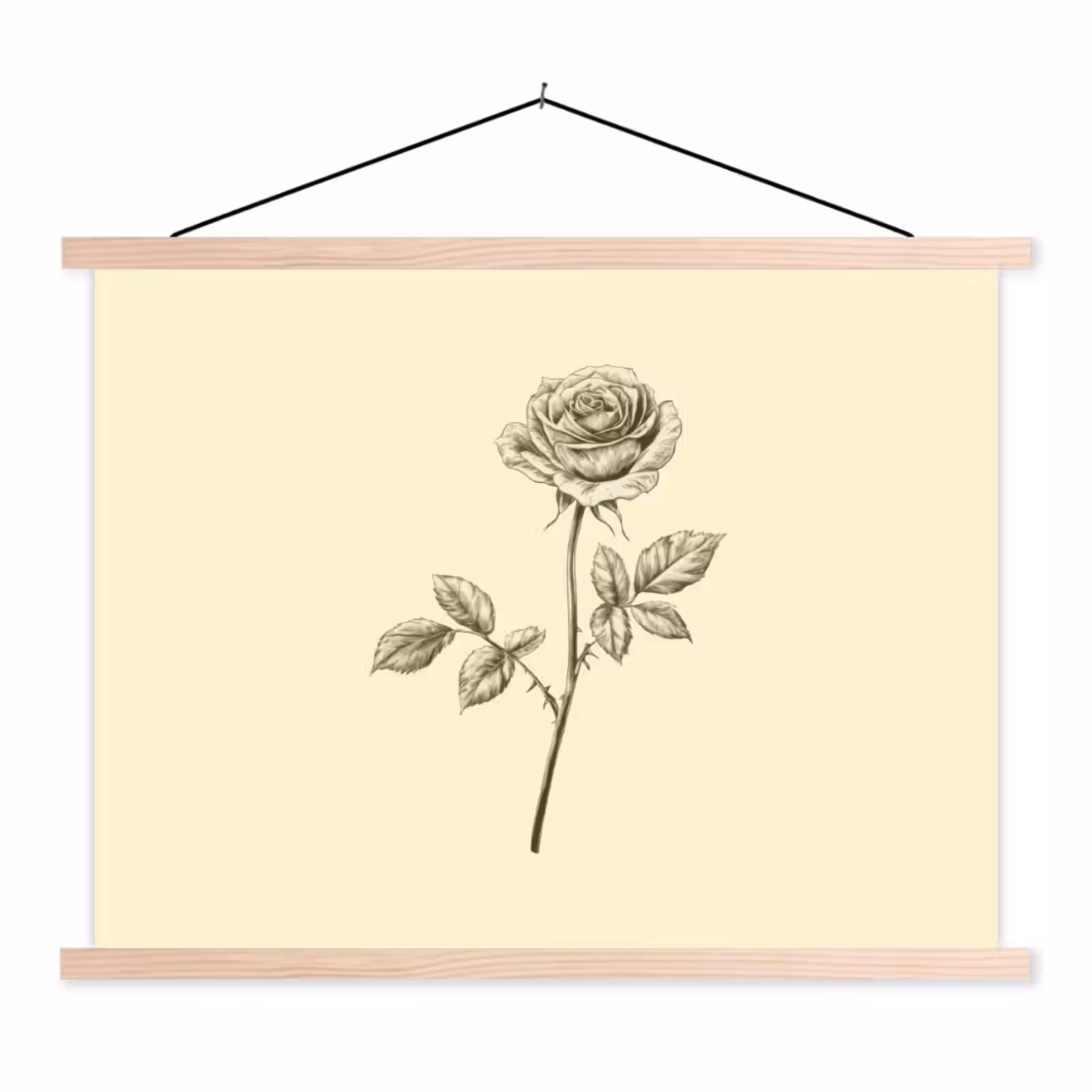 Schoolplaat - Illustratie - Zwart - Roos — 1