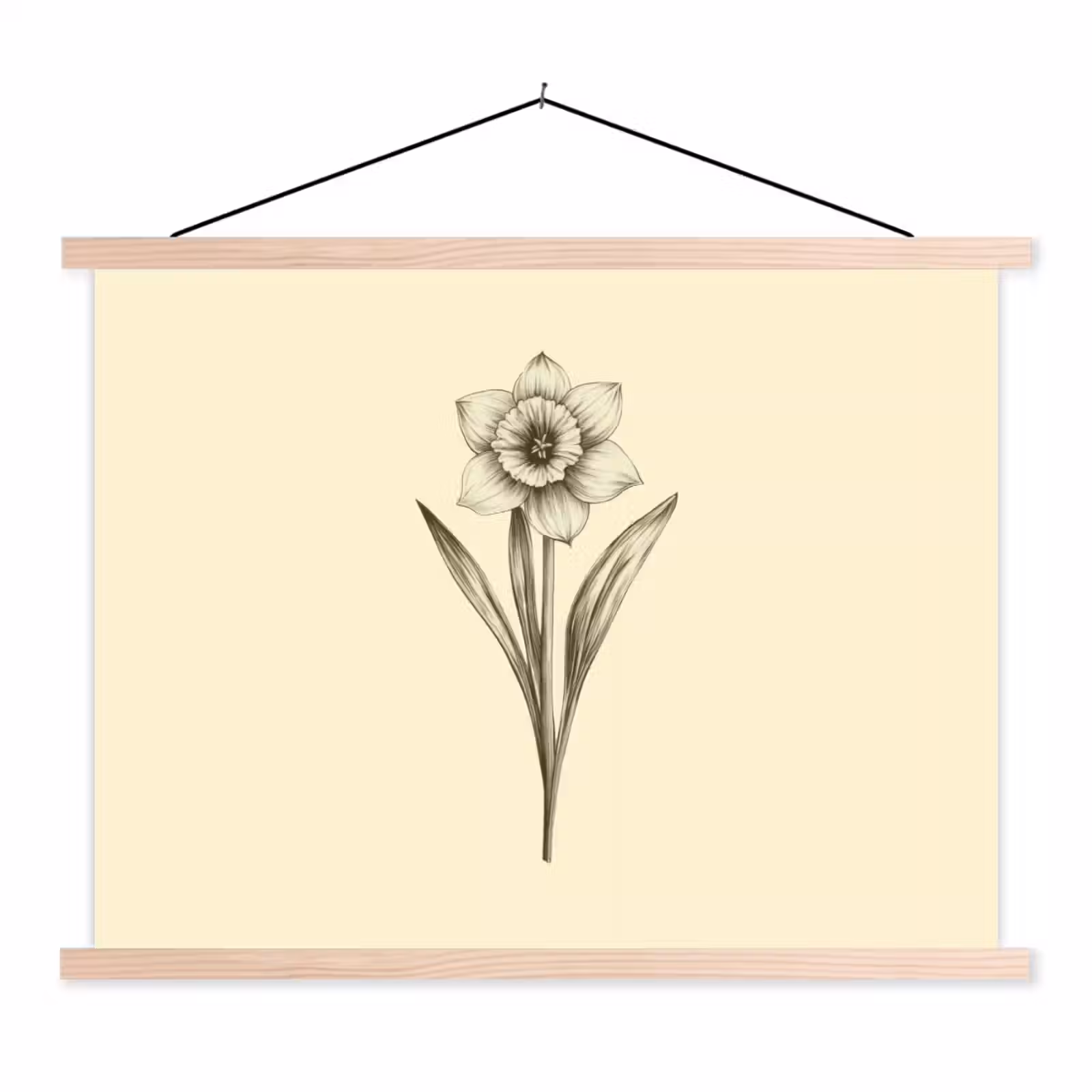 Schoolplaat - Zwart - Narcis - Illustratie — 1