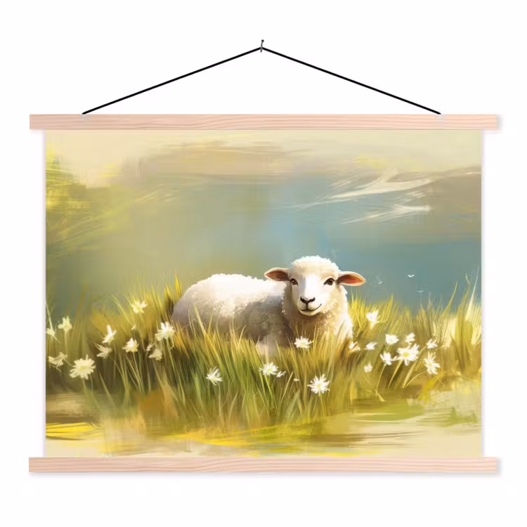 Schoolplaat - Schaap - Weide - Groen — 1