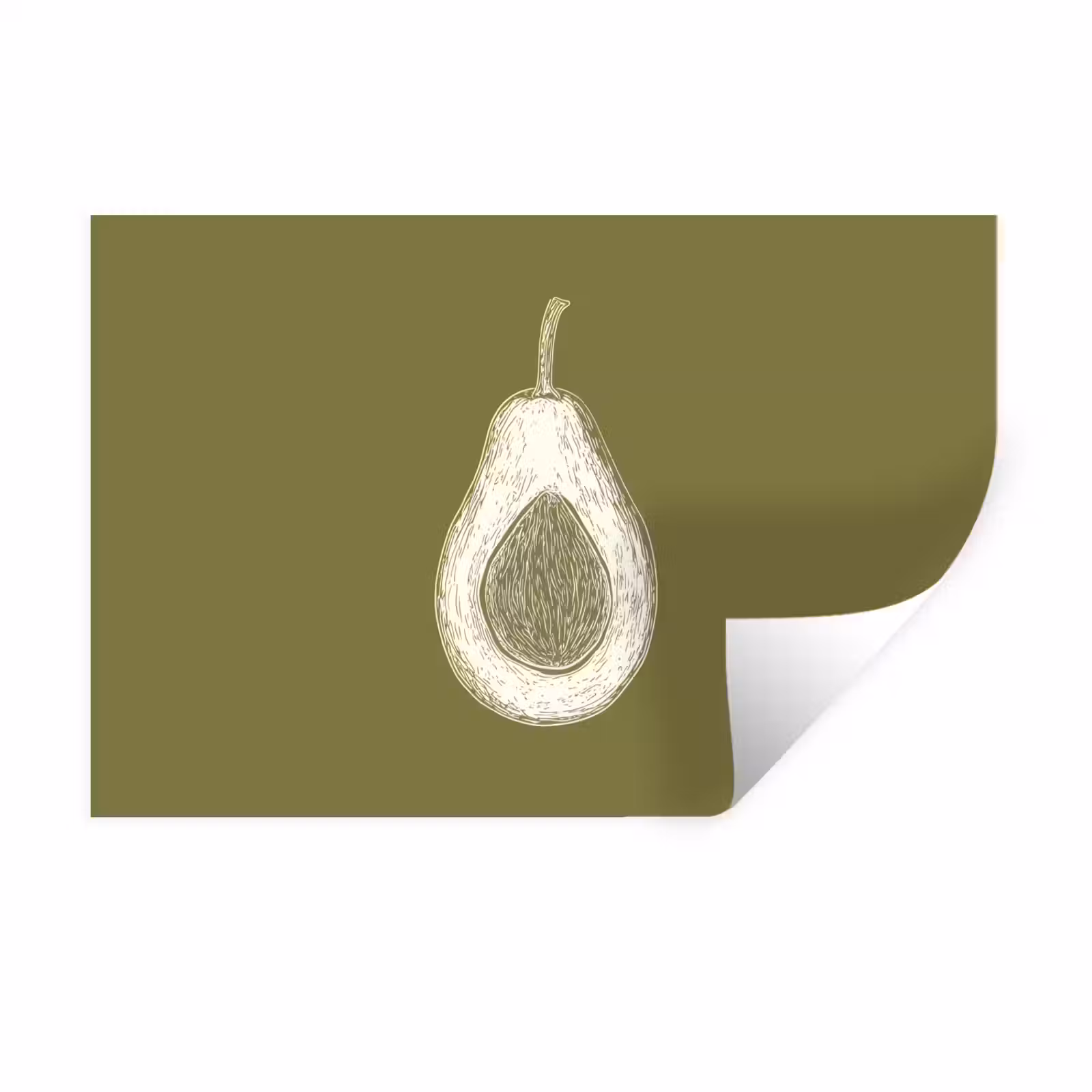 Muursticker - Avocado - Minimalistisch - Illustratie - Groen — 1