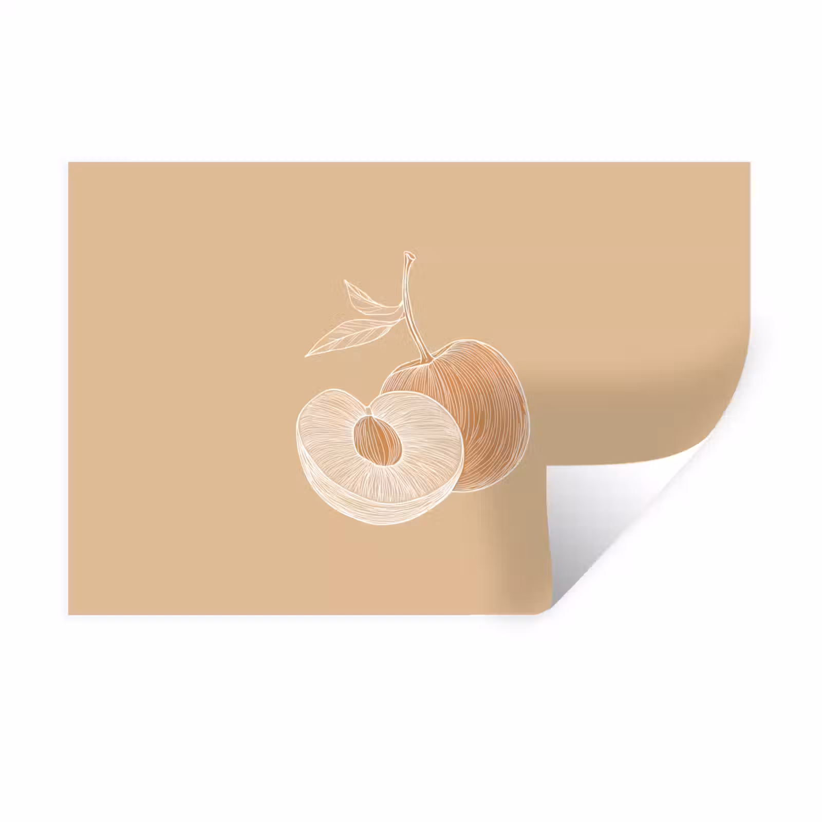 Muursticker - Perzik - Lijntekening - Pit - Beige — 1
