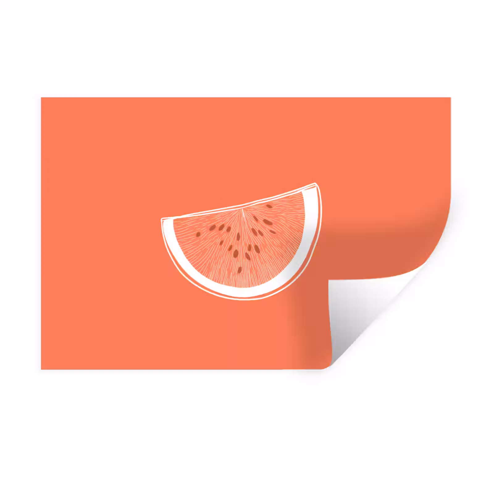 Muursticker - Watermeloen - Lijnen - Koraalrood — 1