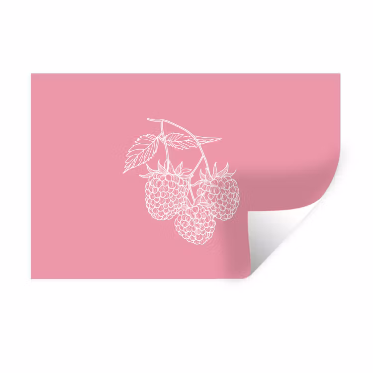 Muursticker - Frambozen - Steel - Getekend - Roze — 1