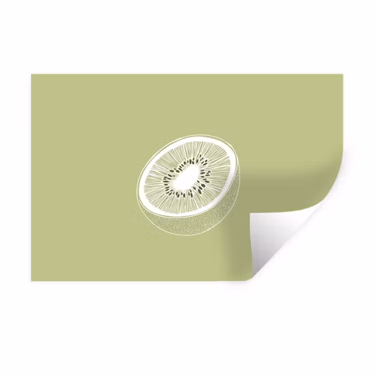 Muursticker - Kiwi - Lijntekening - Minimalistisch - Groen — 1