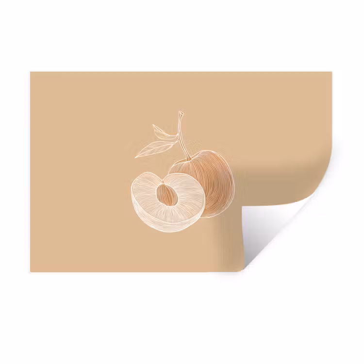 Muursticker - Perzik - Lijntekening - Pit - Beige — 1