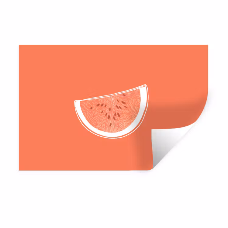 Muursticker - Watermeloen - Lijnen - Koraalrood — 1
