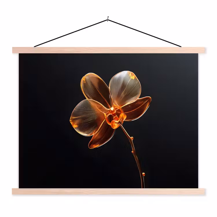 Schoolplaat -  Orchidee - Doorzichtig - Bloem — 1