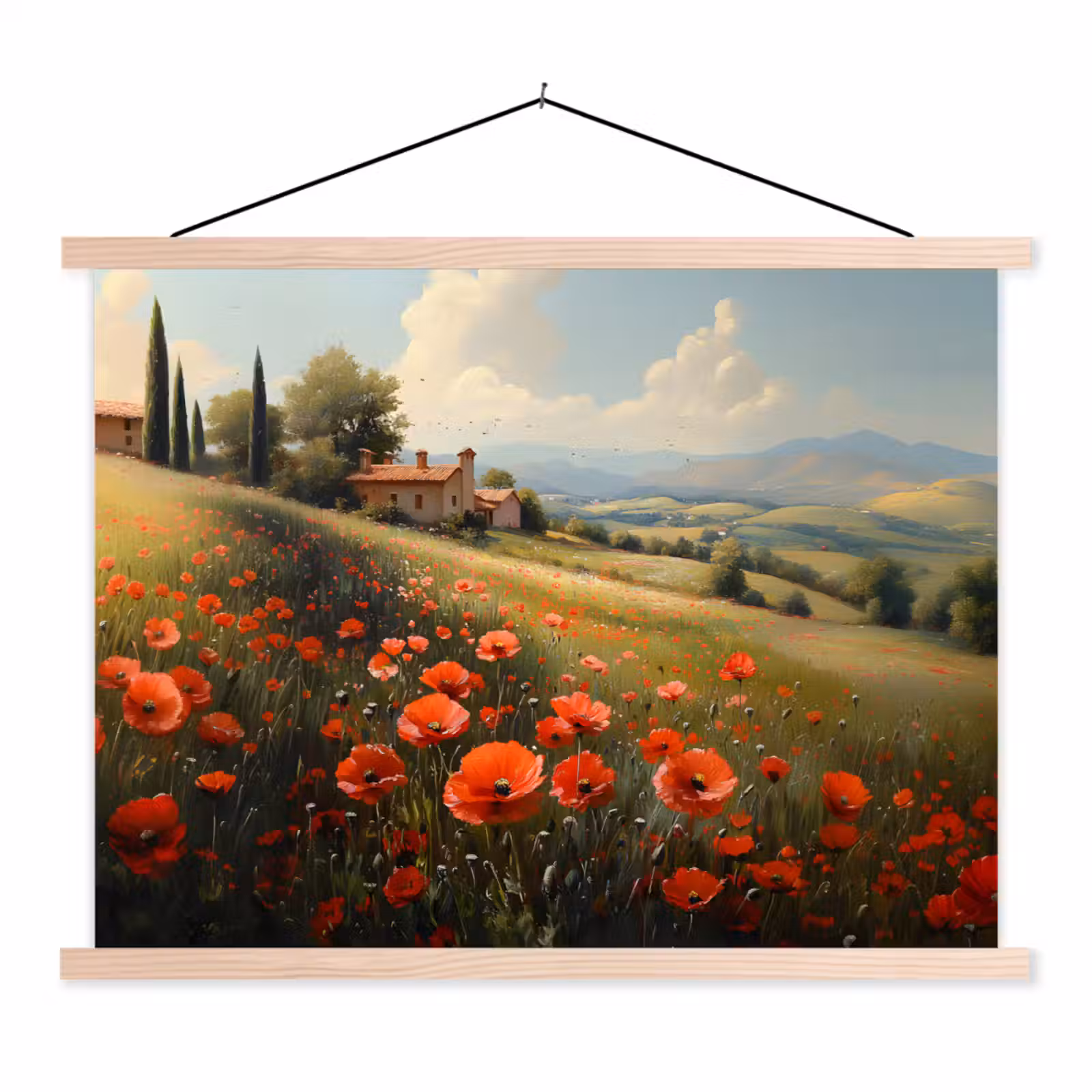 Schoolplaat - Klaprozen - Rood - Heuvels - Landschap — 1