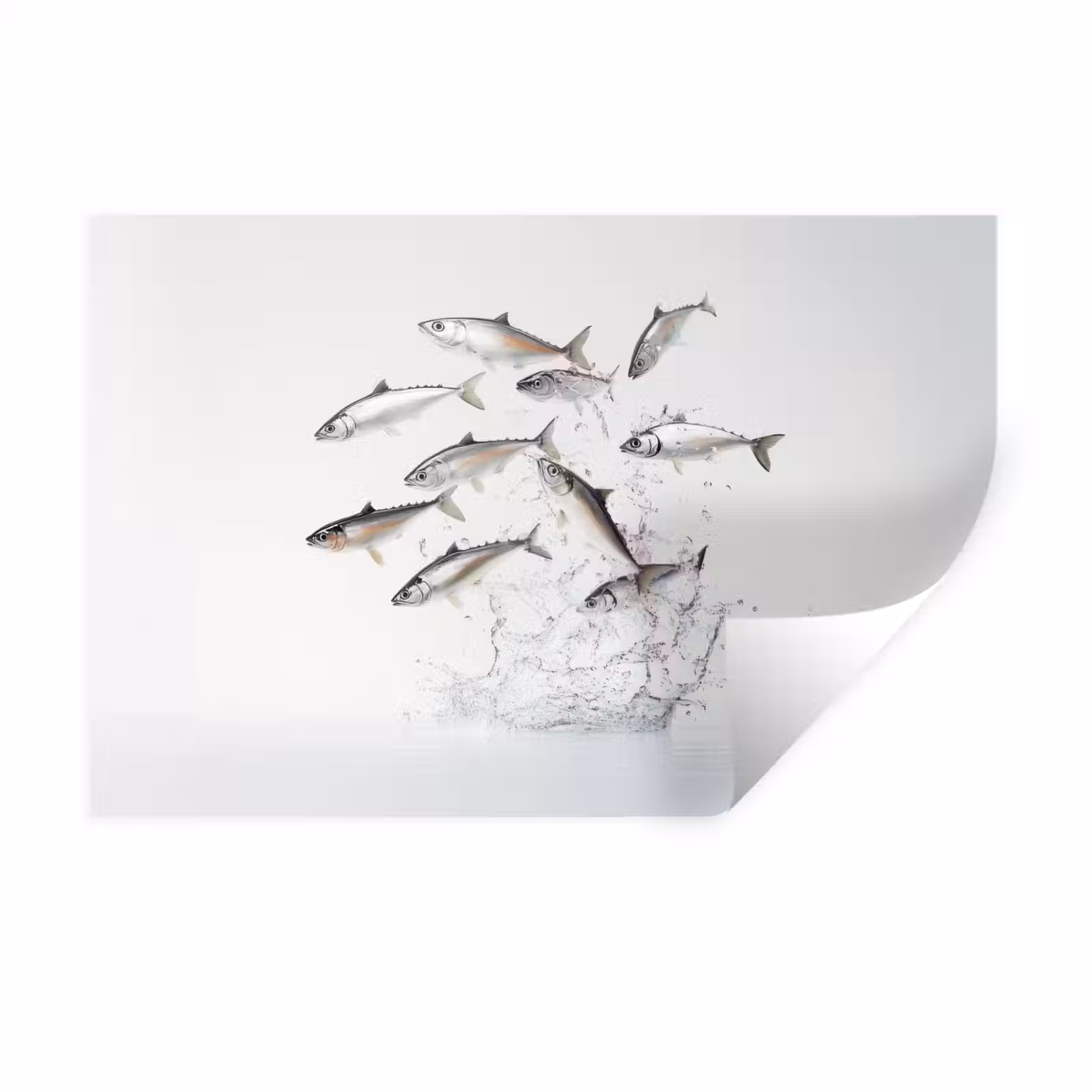 Muursticker - Vissen - Water - Wit — 1