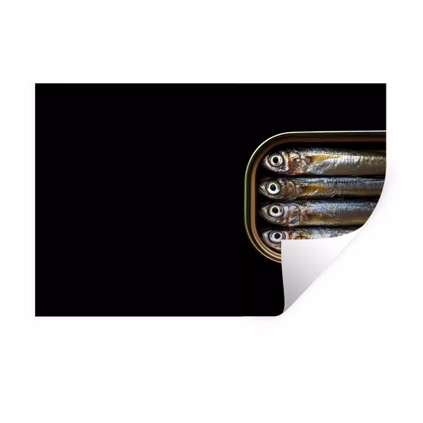 Muursticker - Sardines - Blik - Zwart - Vissen — 1