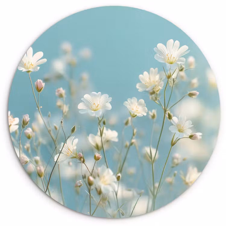 Muurcirkel - Stengels - Bloemen - Lucht - Wit — 1