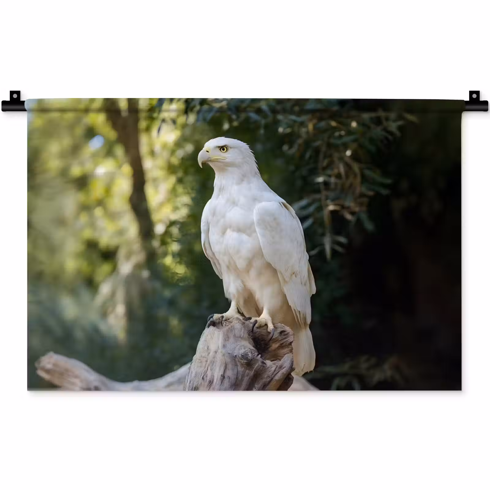 Wandkleed - Arend - Hout - Wit - Planten — 1