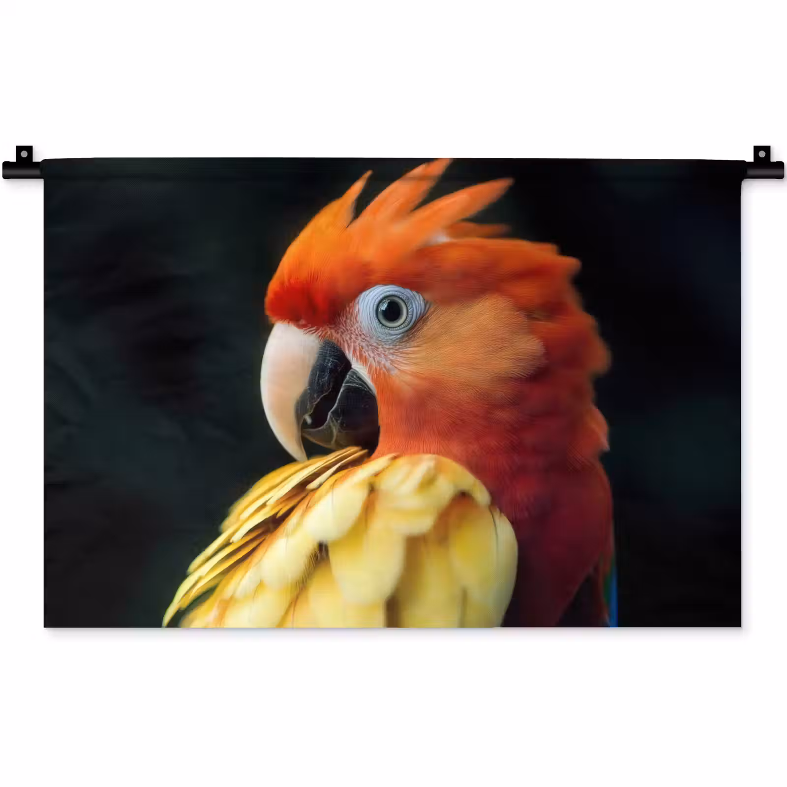 Wandkleed - Close-up - Papegaai - Veren - Oranje — 1