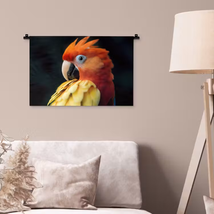 Wandkleed - Close-up - Papegaai - Veren - Oranje — 2