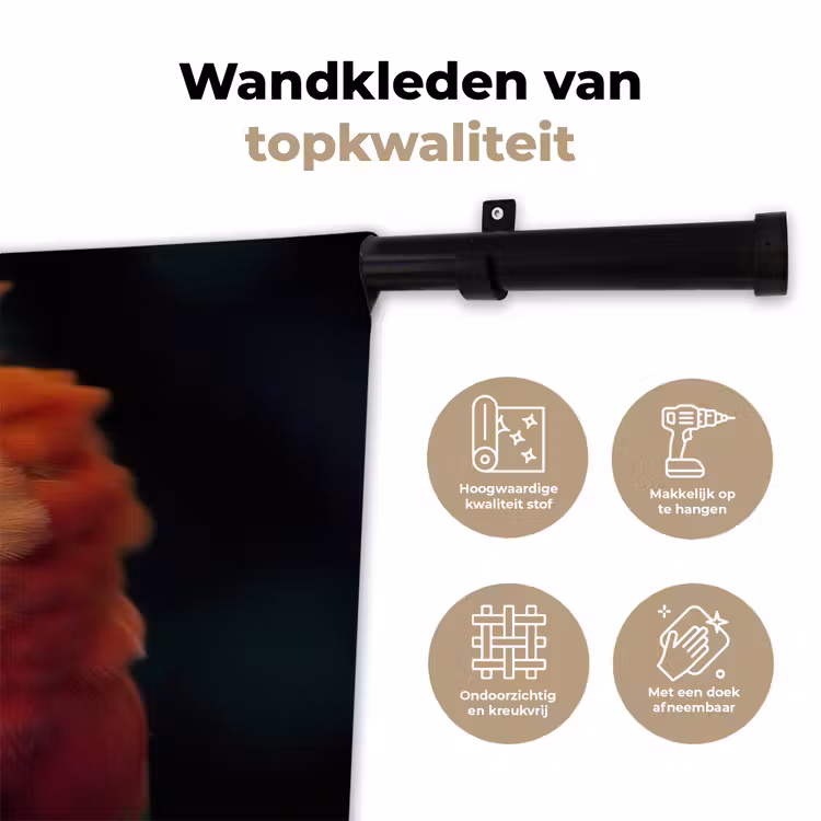 Wandkleed - Close-up - Papegaai - Veren - Oranje — 3