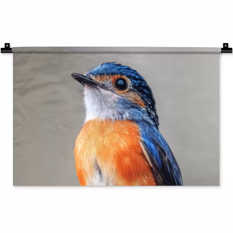 Wandkleed - Kleurrijk - Vogeltje - Veren - Blauw — 1