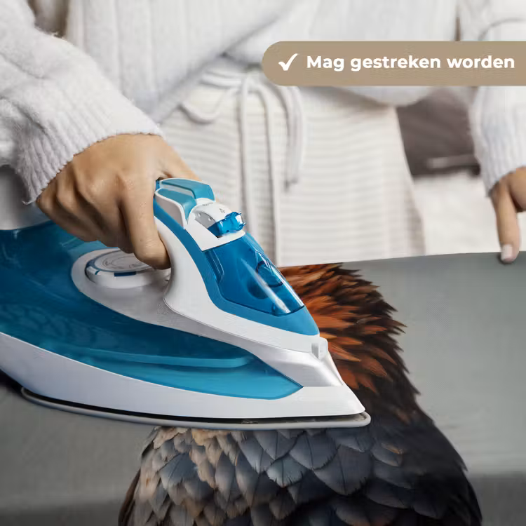 Wandkleed - Vogel - Realistisch - Veren - Bruin — 6