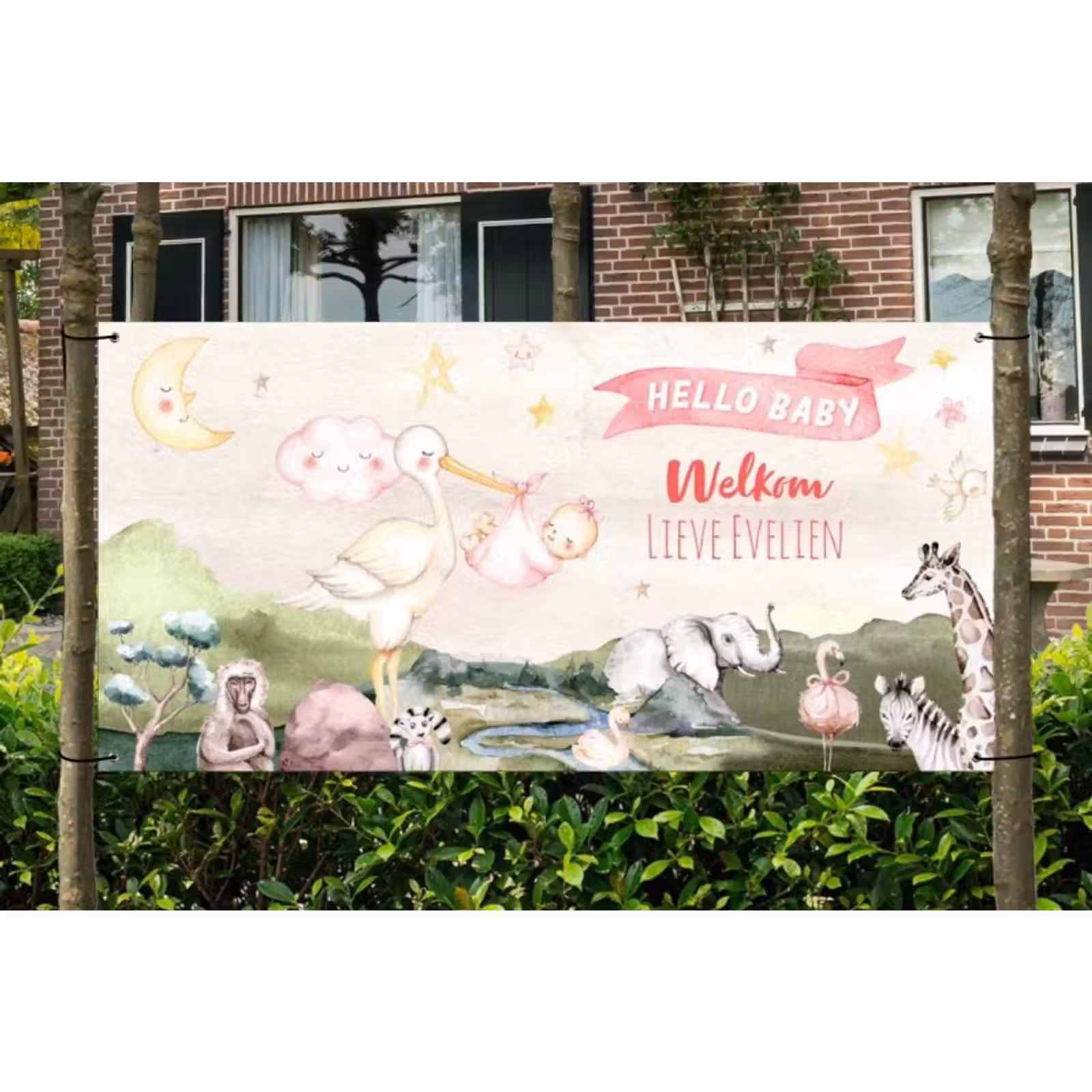 Spandoek - Geboorte - Meisje - Dieren — 1