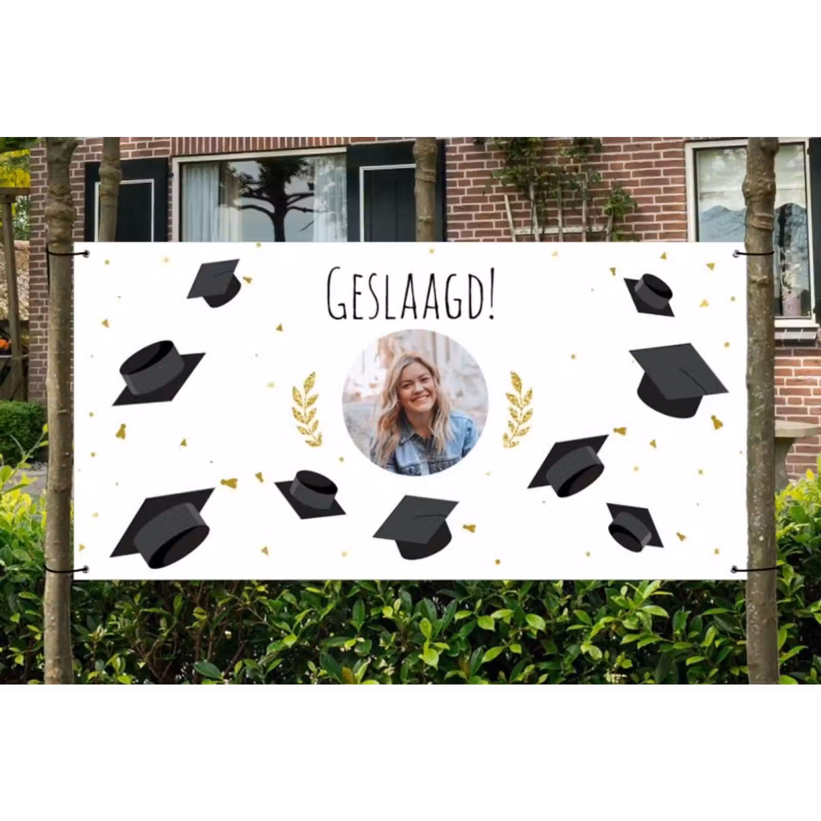 Spandoek - Geslaagd — 1