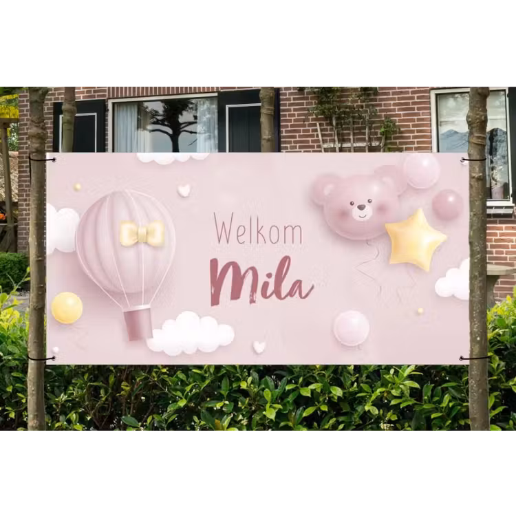 Spandoek - Geboorte - Meisje — 1