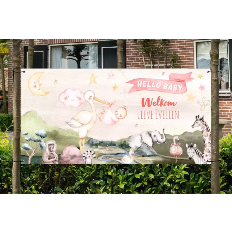 Spandoek - Geboorte - Meisje - Dieren — 1