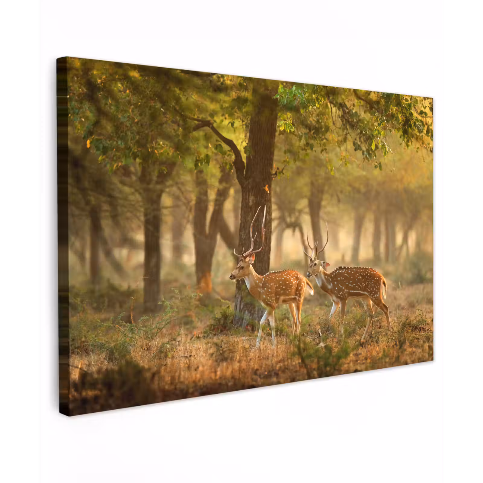 Buiten canvas - Herten - Bos - Herfst - Bosdieren - Natuur - Hert — 1