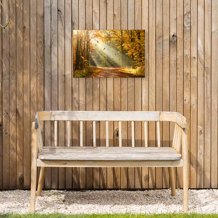 Buiten canvas - Bos - Bomen - Herfst - Zon - Herfstbladeren - Natuur — 3