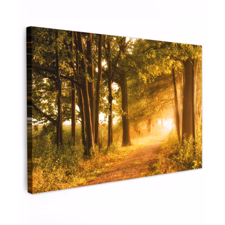 Buiten canvas - Bos - Bomen - Zonlicht - Herfst - Bospad - Natuur — 1