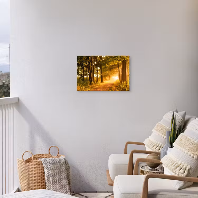 Buiten canvas - Bos - Bomen - Zonlicht - Herfst - Bospad - Natuur — 4