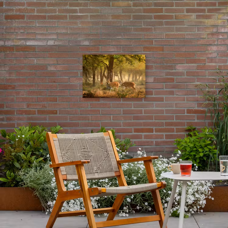 Buiten canvas - Herten - Bos - Herfst - Bosdieren - Natuur - Hert — 2