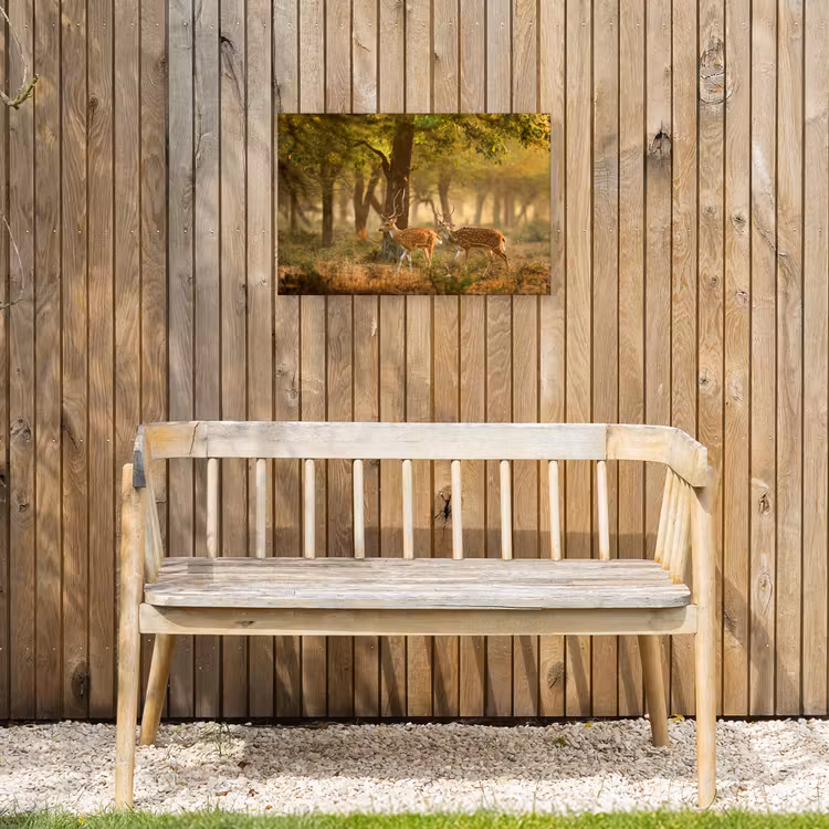 Buiten canvas - Herten - Bos - Herfst - Bosdieren - Natuur - Hert — 3