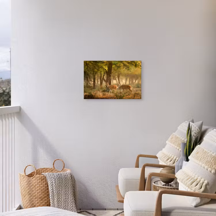 Buiten canvas - Herten - Bos - Herfst - Bosdieren - Natuur - Hert — 4