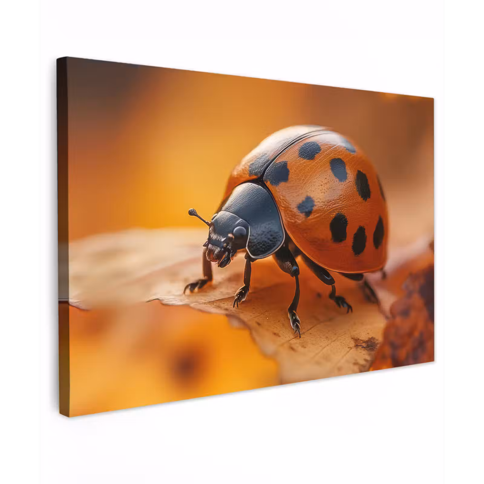 Buiten canvas - Lieveheersbeestje - Herfst - Insect - Rood - Bladeren — 1