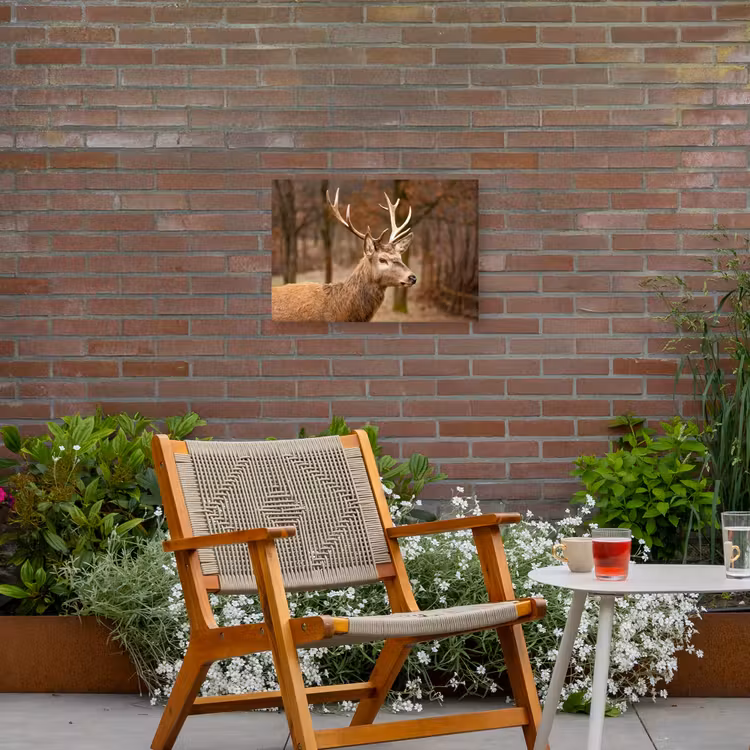 Buiten canvas - Hert - Dier - Bos - Herfst - Hertenkop - Bruin - Natuur — 2
