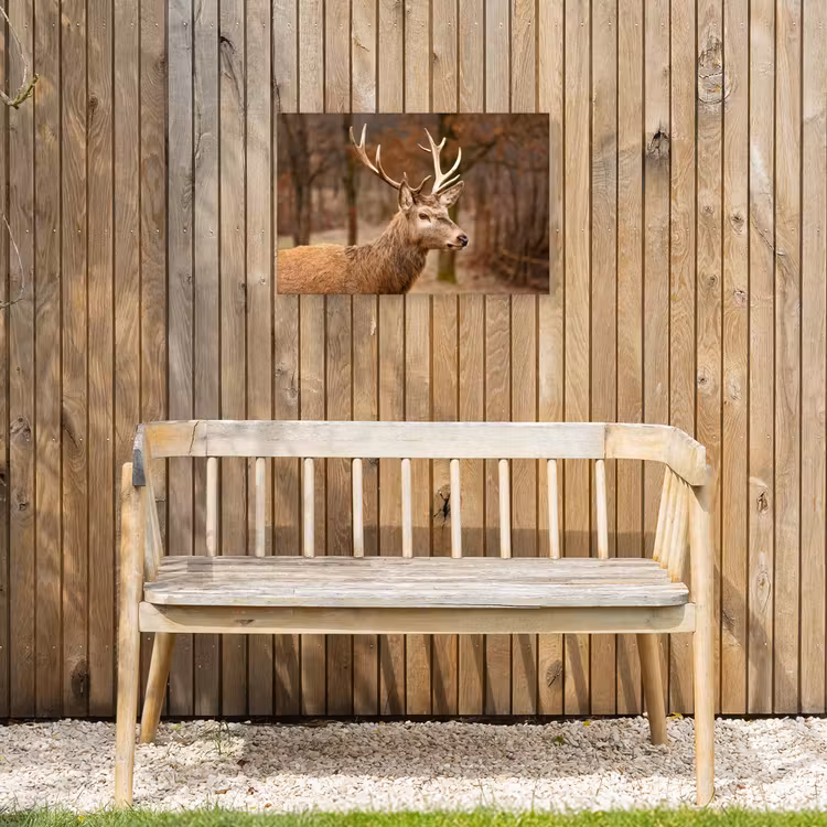 Buiten canvas - Hert - Dier - Bos - Herfst - Hertenkop - Bruin - Natuur — 3