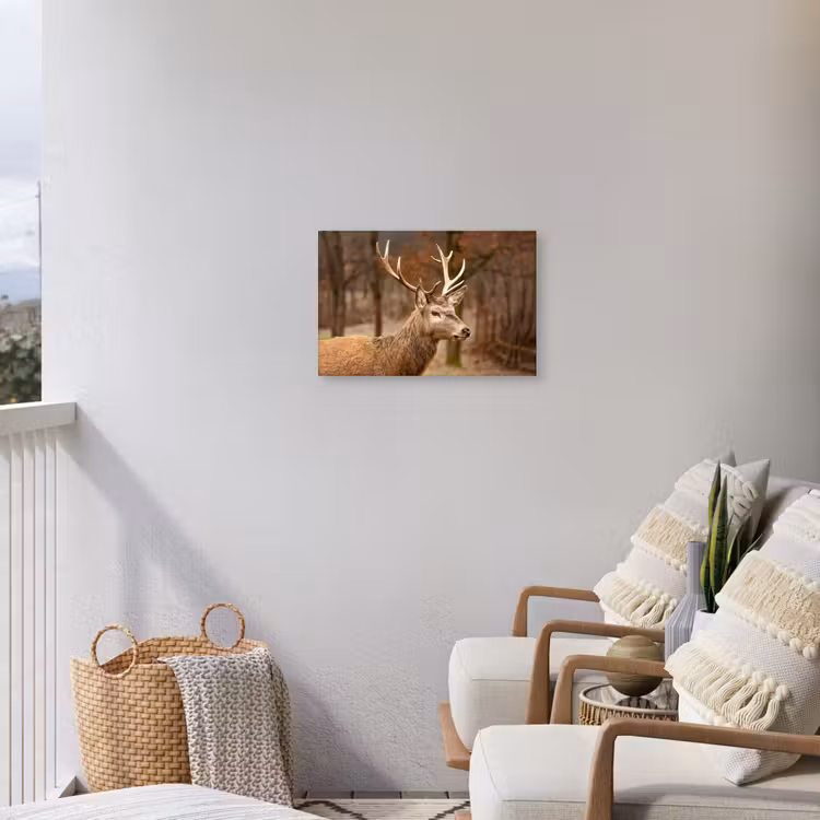 Buiten canvas - Hert - Dier - Bos - Herfst - Hertenkop - Bruin - Natuur — 4