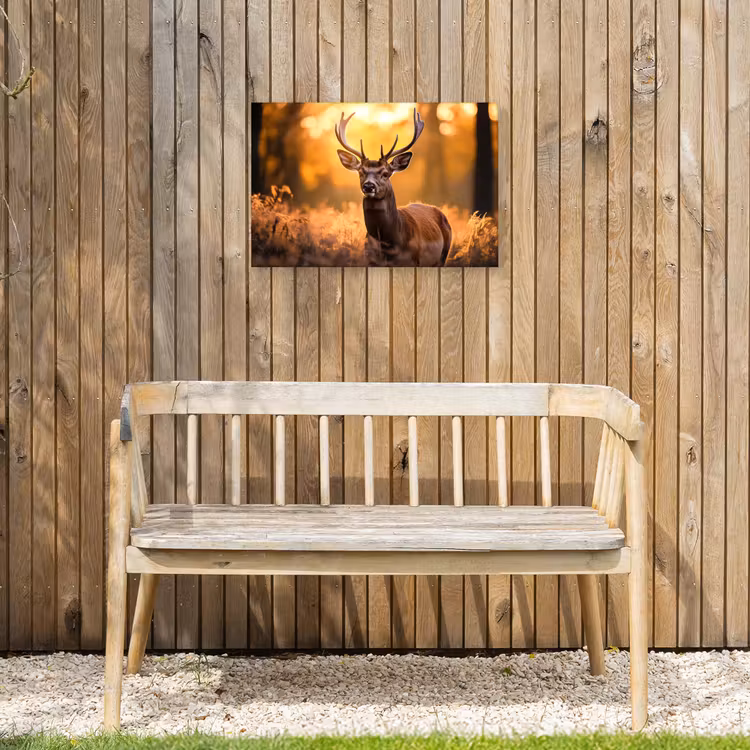 Buiten canvas - Hert - Gewei - Herfst - Bos - Bruin - Natuur - Bosdieren — 3